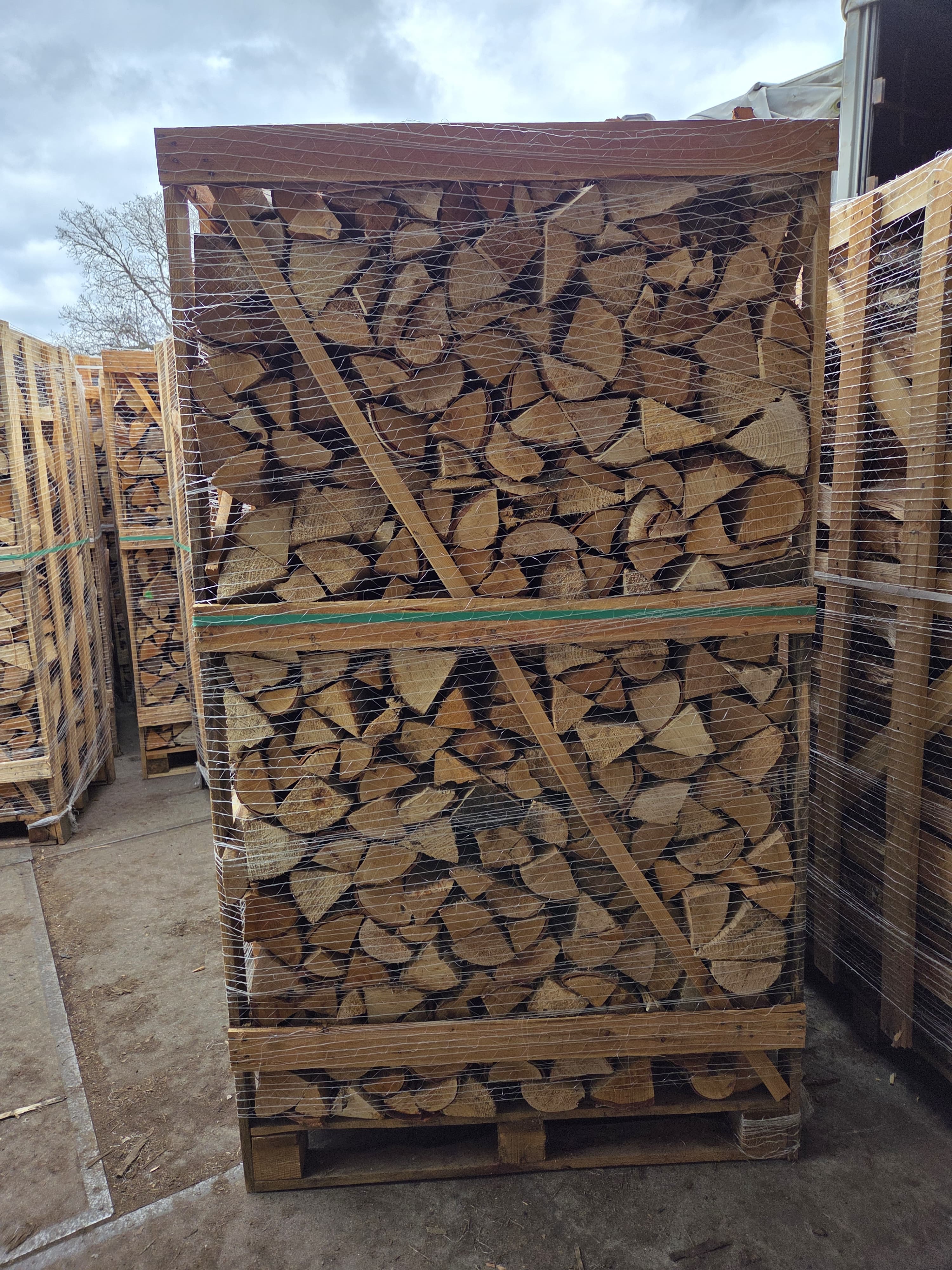 Ovengedroogd Haardhout Mix Eik Beuk Berk Essen grote pallet
